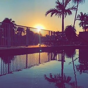 Meet your Posher, Stella